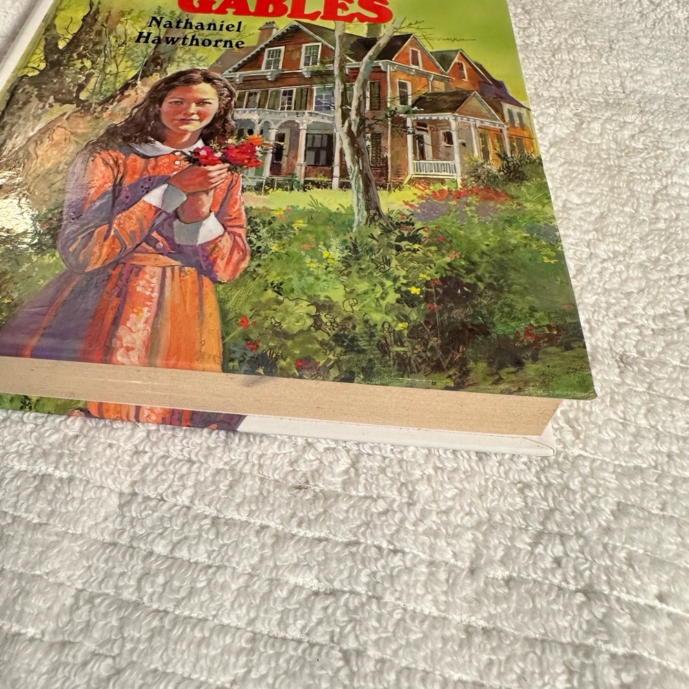 Great Illustrated Classic Edition by Nathaniel Hawthorne - Picture 4 of 6